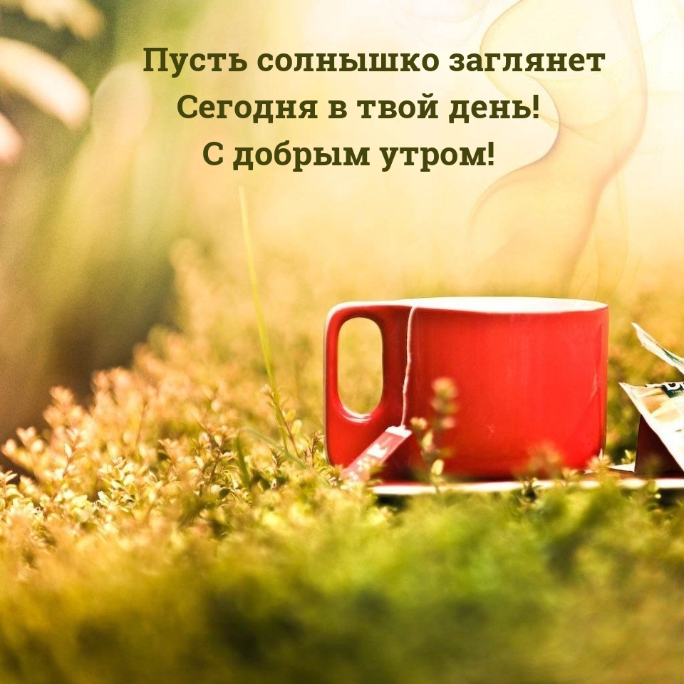 ����� �������� �������� ������� � ���� ����! � ������ �����!.