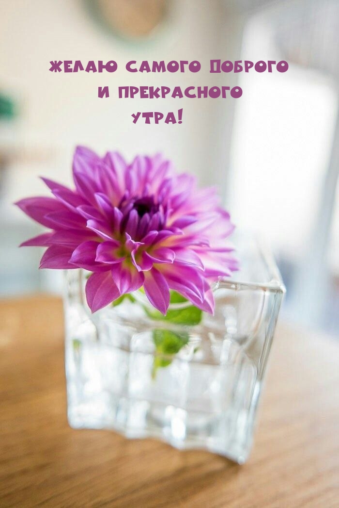 ����� ������ ������� � ����������� ����!.