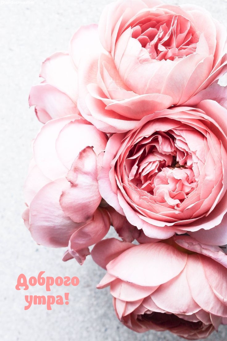 ������� ����!.