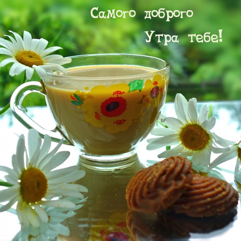 ������ ������� ���� ����!.