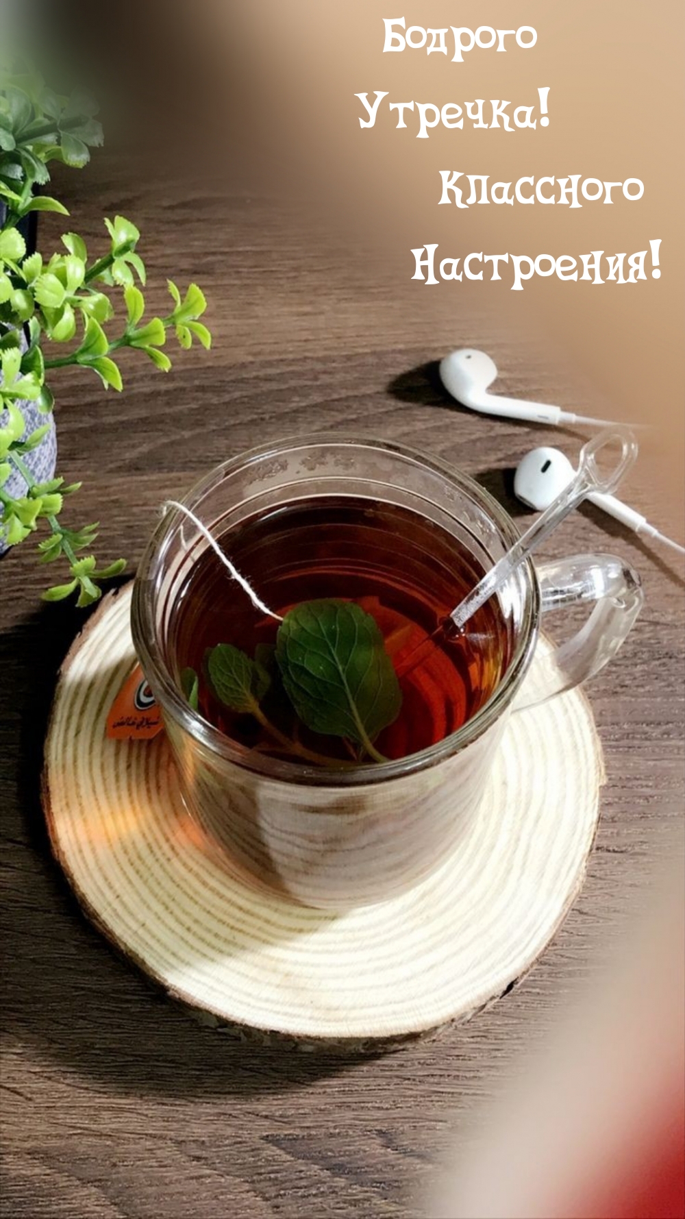 ������� �������! ��������� ����������!.