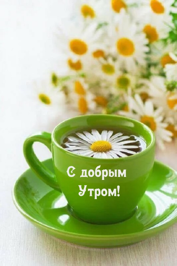 С добрым Утром!