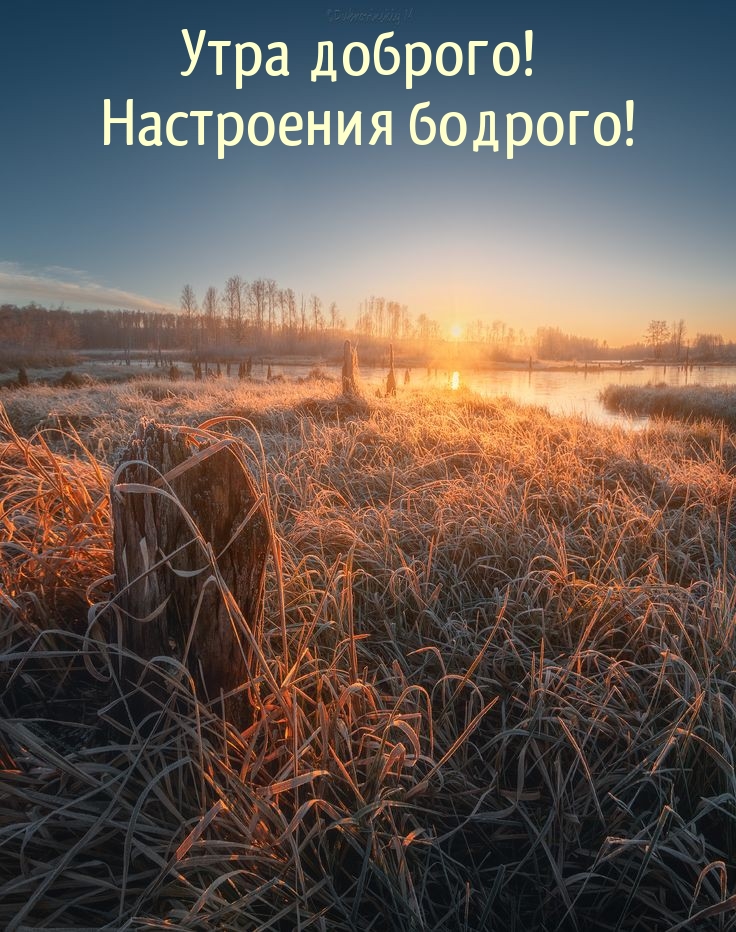 ���� �������! ���������� �������!.