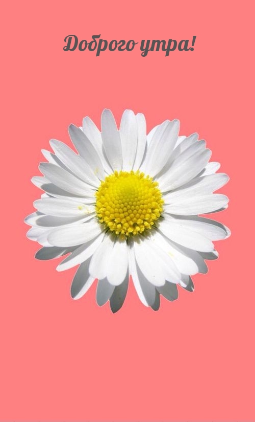 ������� ����!.