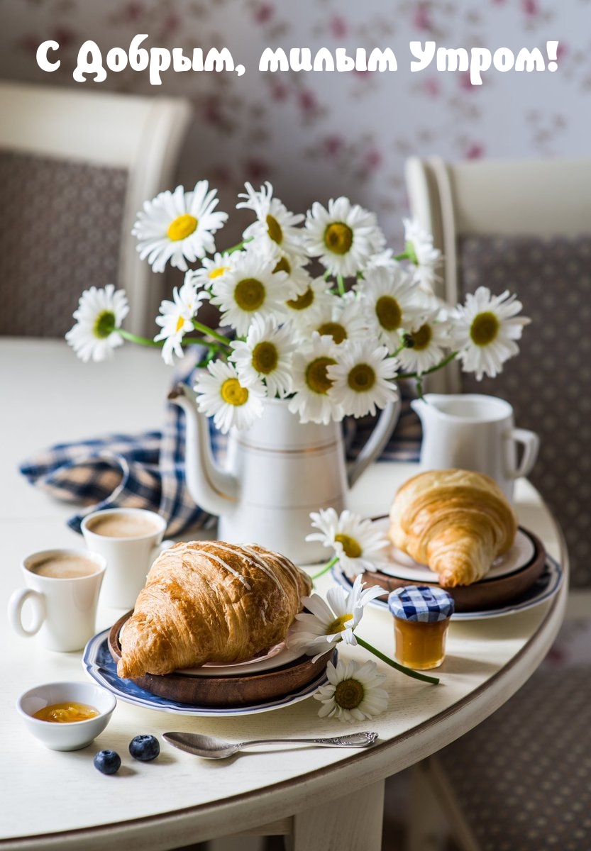 � ������, ����� �����!.