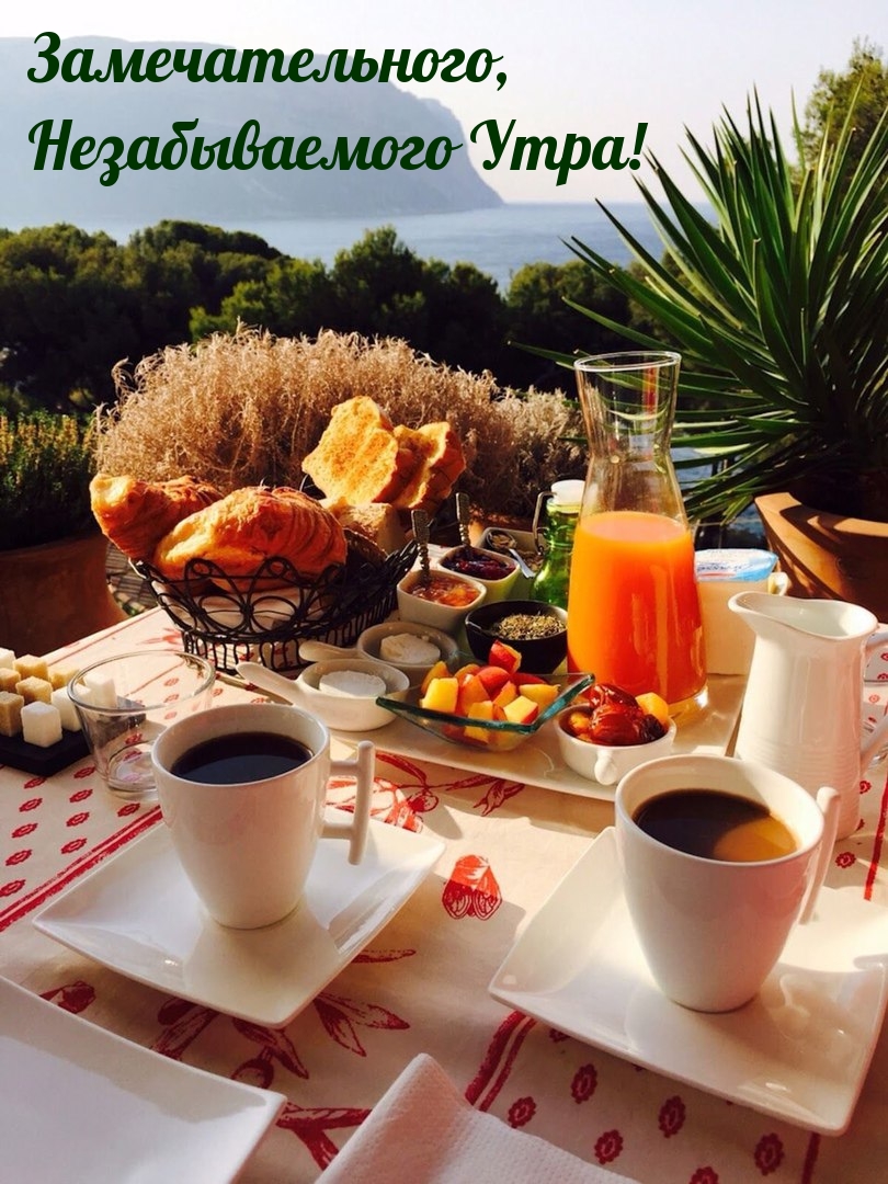 ��������������, ������������� ����!.