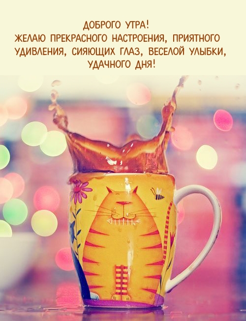 ������� ����! ����� ����������� ����������.