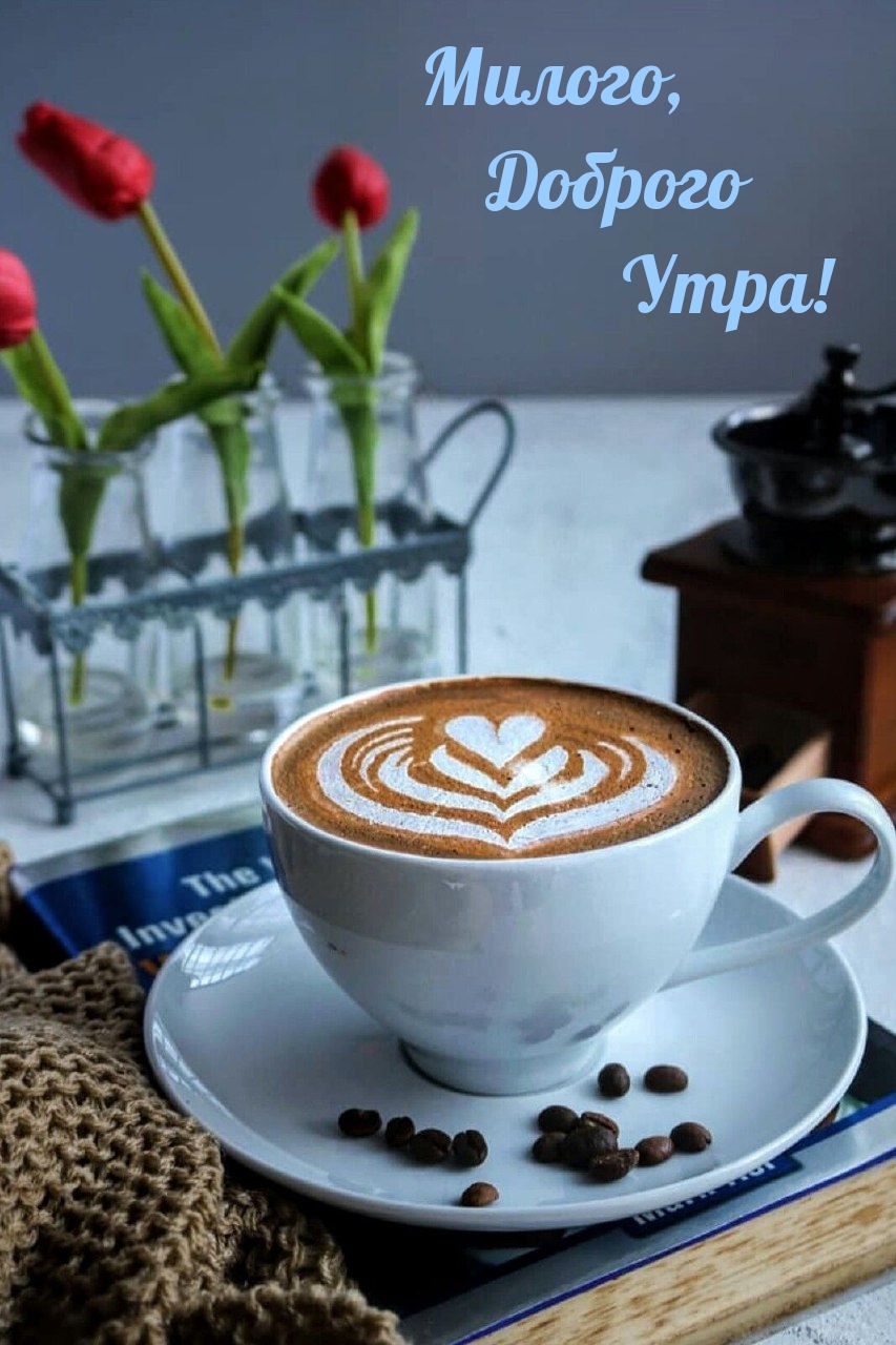 ������, ������� ����!.