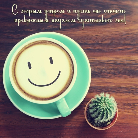 � ������ ����� � ����� ��� ������ ������� ����������� ���.