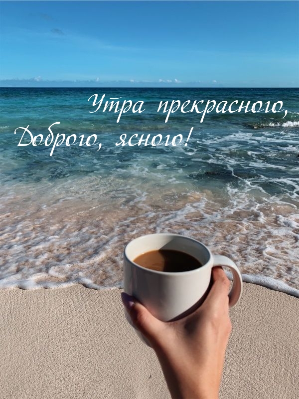 ���� �����������, �������, ������!.