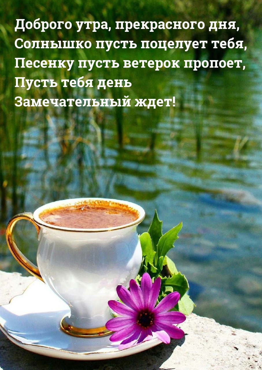 ������� ����, ����������� ���.