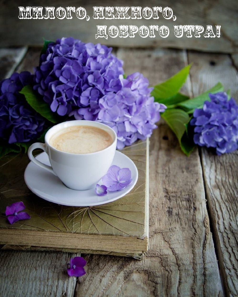 ������, �������, ������� ����!.