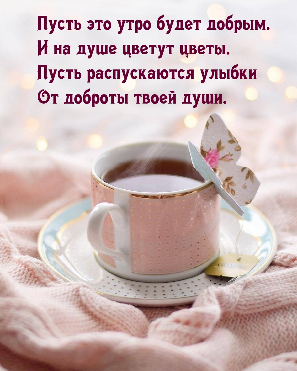 ����� ��� ���� ����� ������..