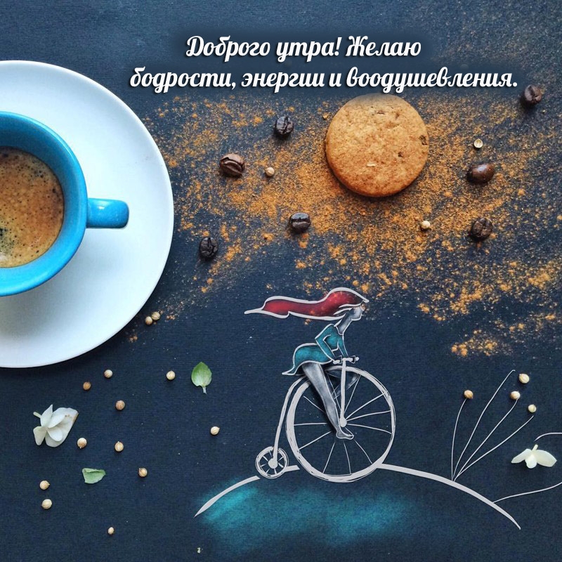 ������� ����! ����� ��������, ������� � �������������..