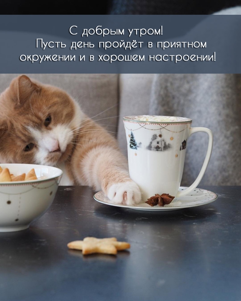 � ������ �����! ����� ���� ������ � �������� ���������.