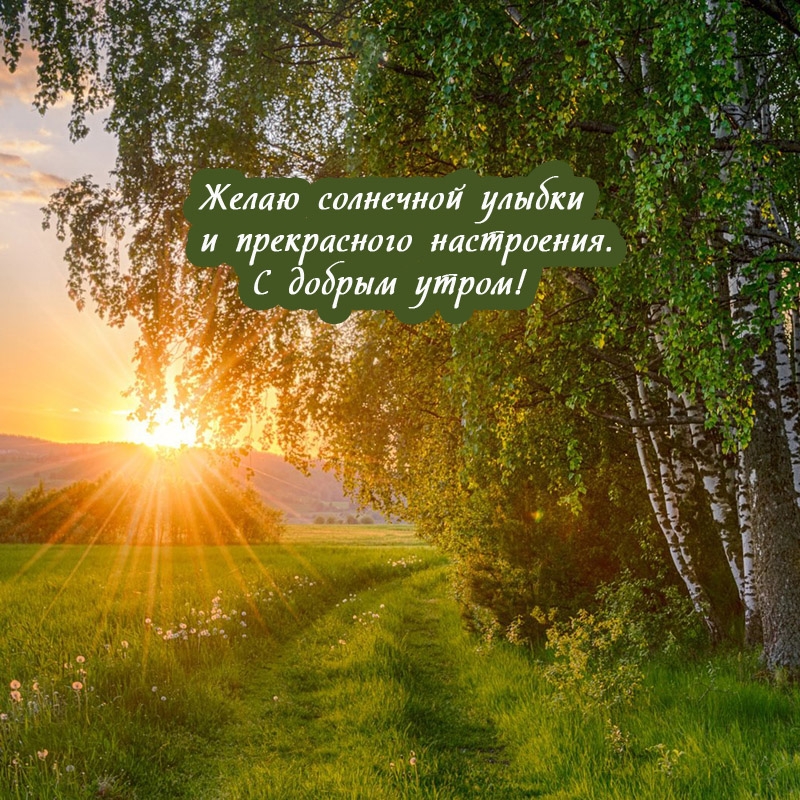 � ������ �����! ����� ��������� ������ .