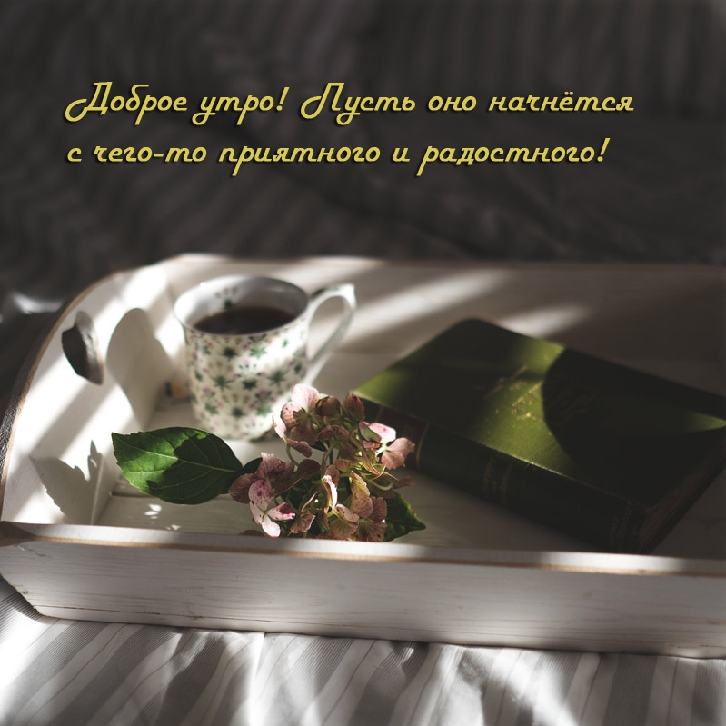 ������ ����! ����� ��� �������� � ����-�� ��������� � ����������!.