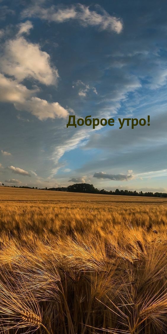 ������ ����!.