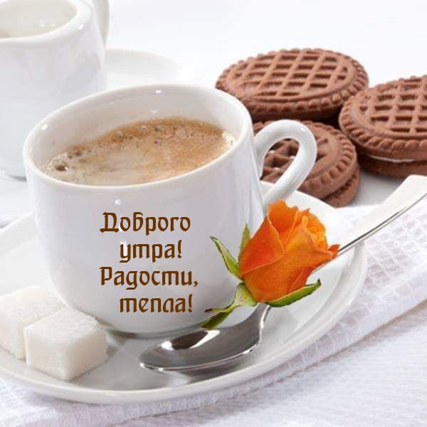 ������� ����! �������, �����!.