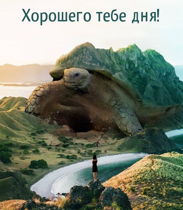 Хорошего тебе дня!