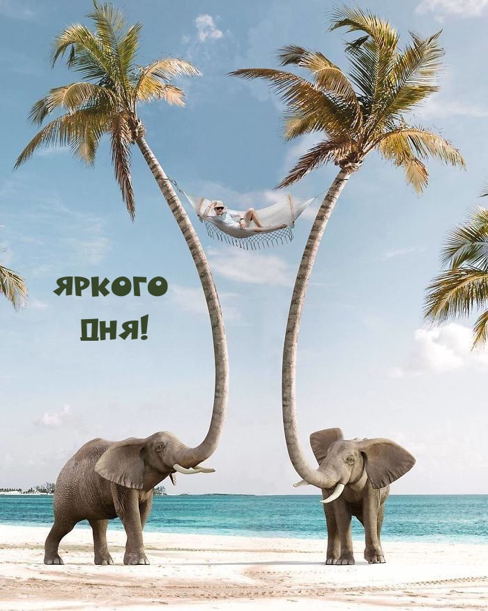 ������ ���!