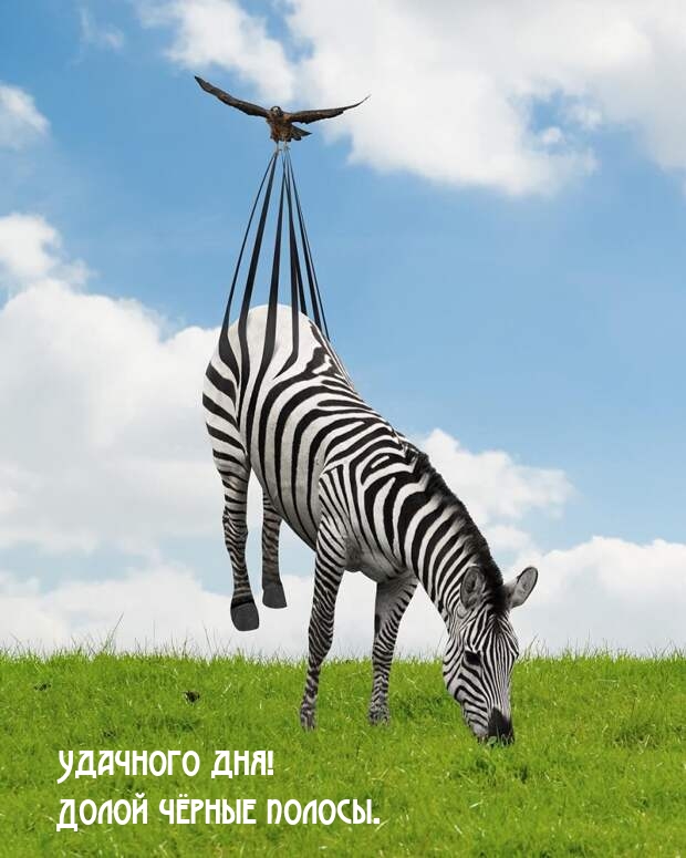 Удачного дня! Долой чёрные полосы.