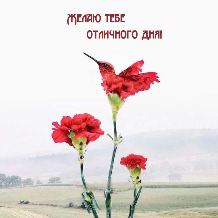 ����� ���� ��������� ���!.