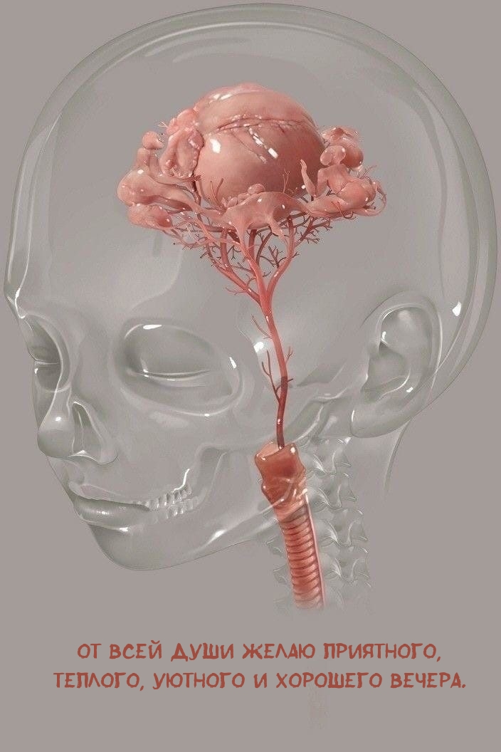 �� ���� ���� ����� ���������, �������, ������� � �������� ������.