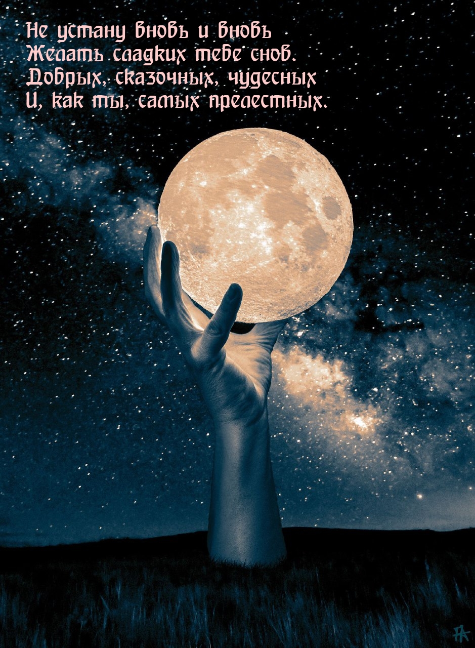 Не устану вновь и вновь желать сладких тебе снов.