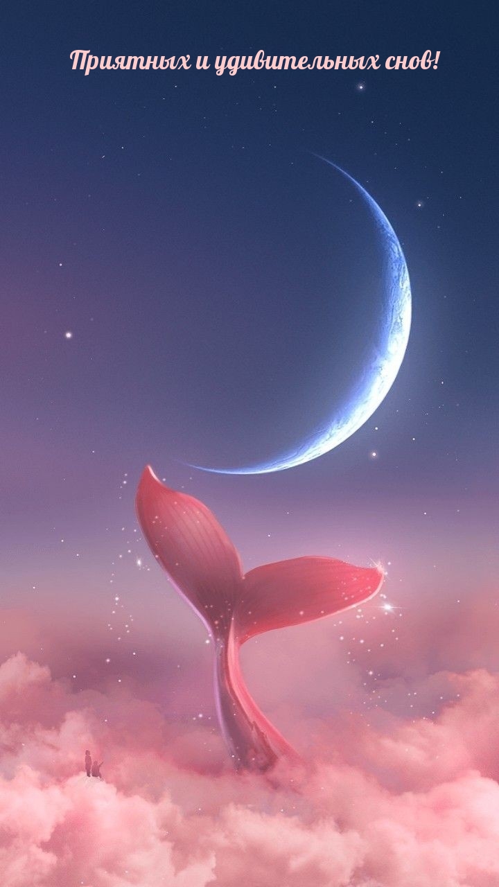    !.