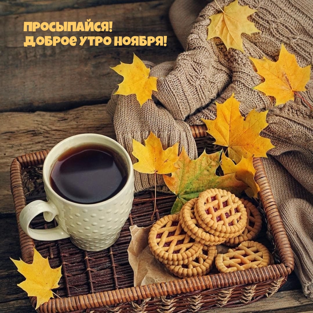 ����������! ������ ���� ������!.