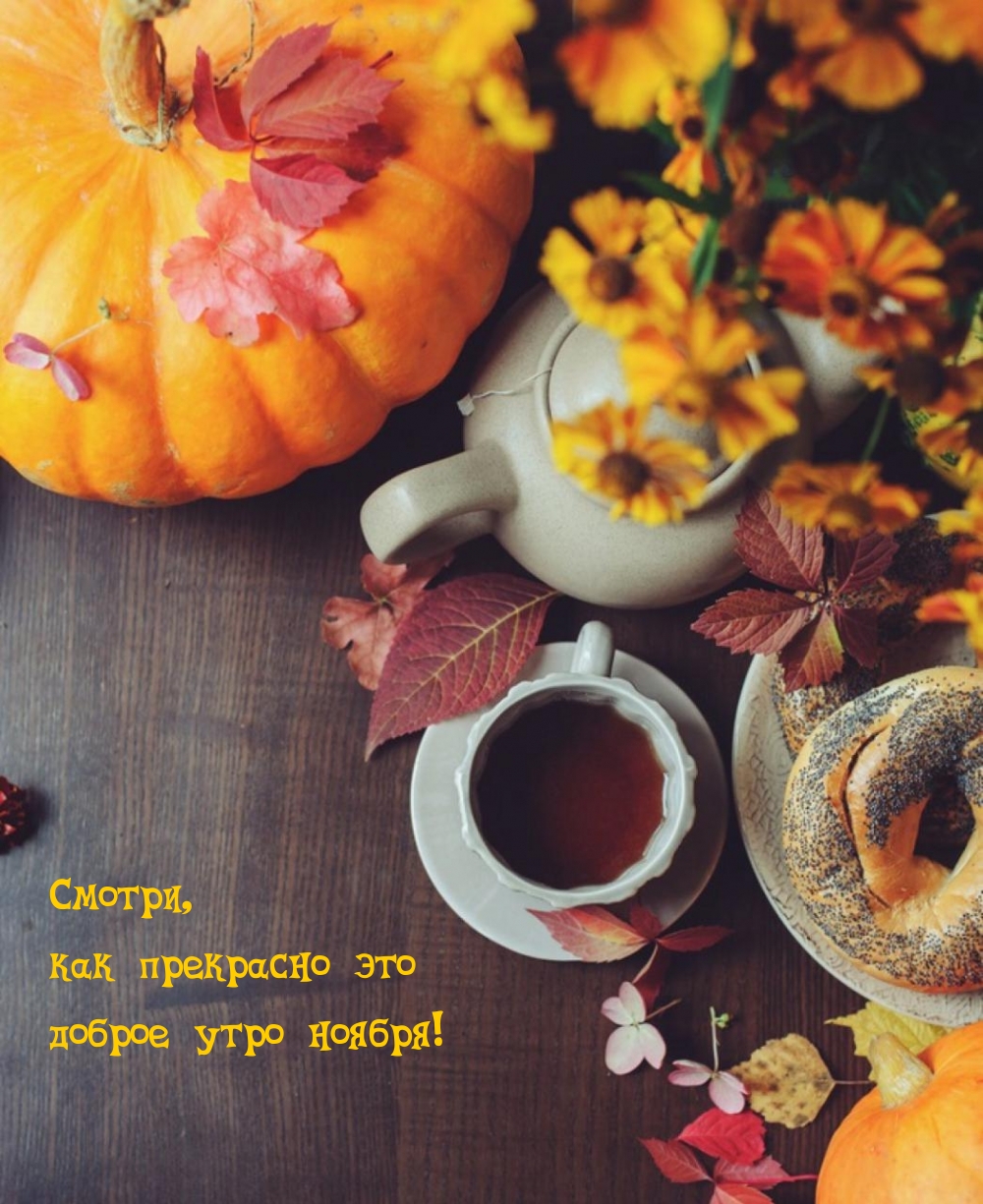 ������, ��� ��������� ��� ������ ���� ������!.