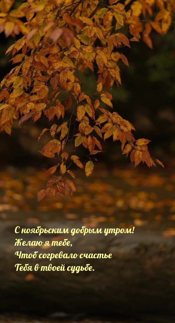 � ���������� ������ �����! ���� ��������� �������