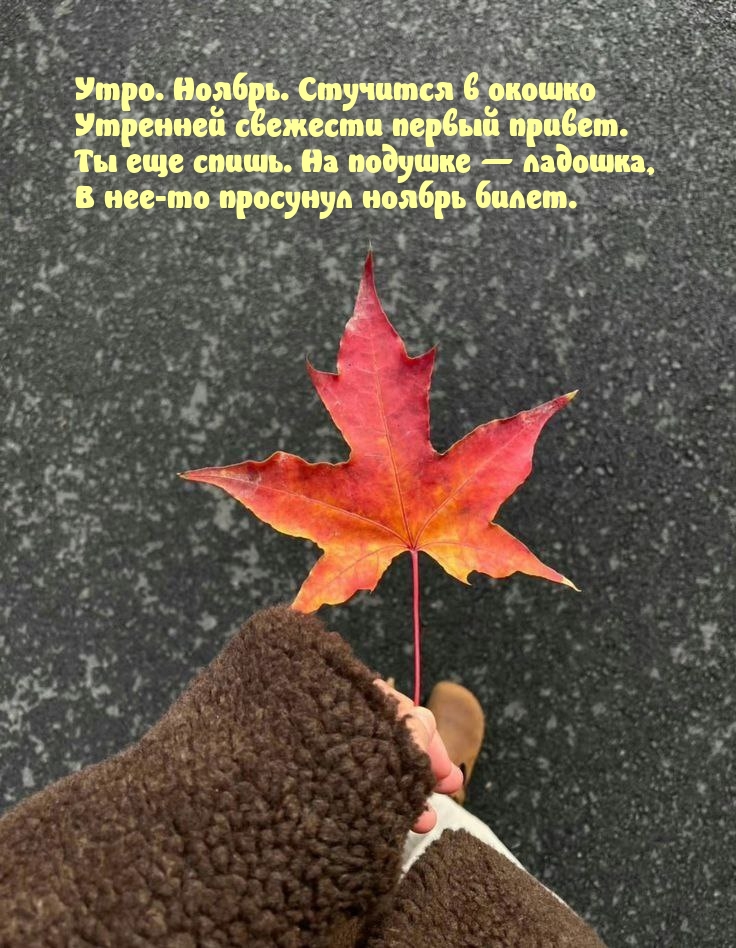 ����. ������. �������� � ������.