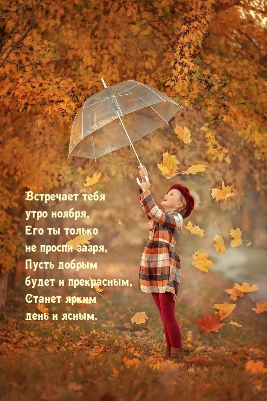 ��������� ���� ���� ������, ��� �� ������ �� ������ �����.