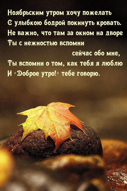 ���������� ����� ���� �������� � ������� ������ �������� �������..