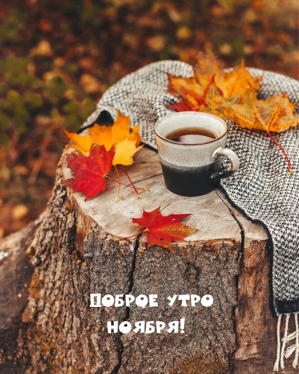 ������ ���� ������!.