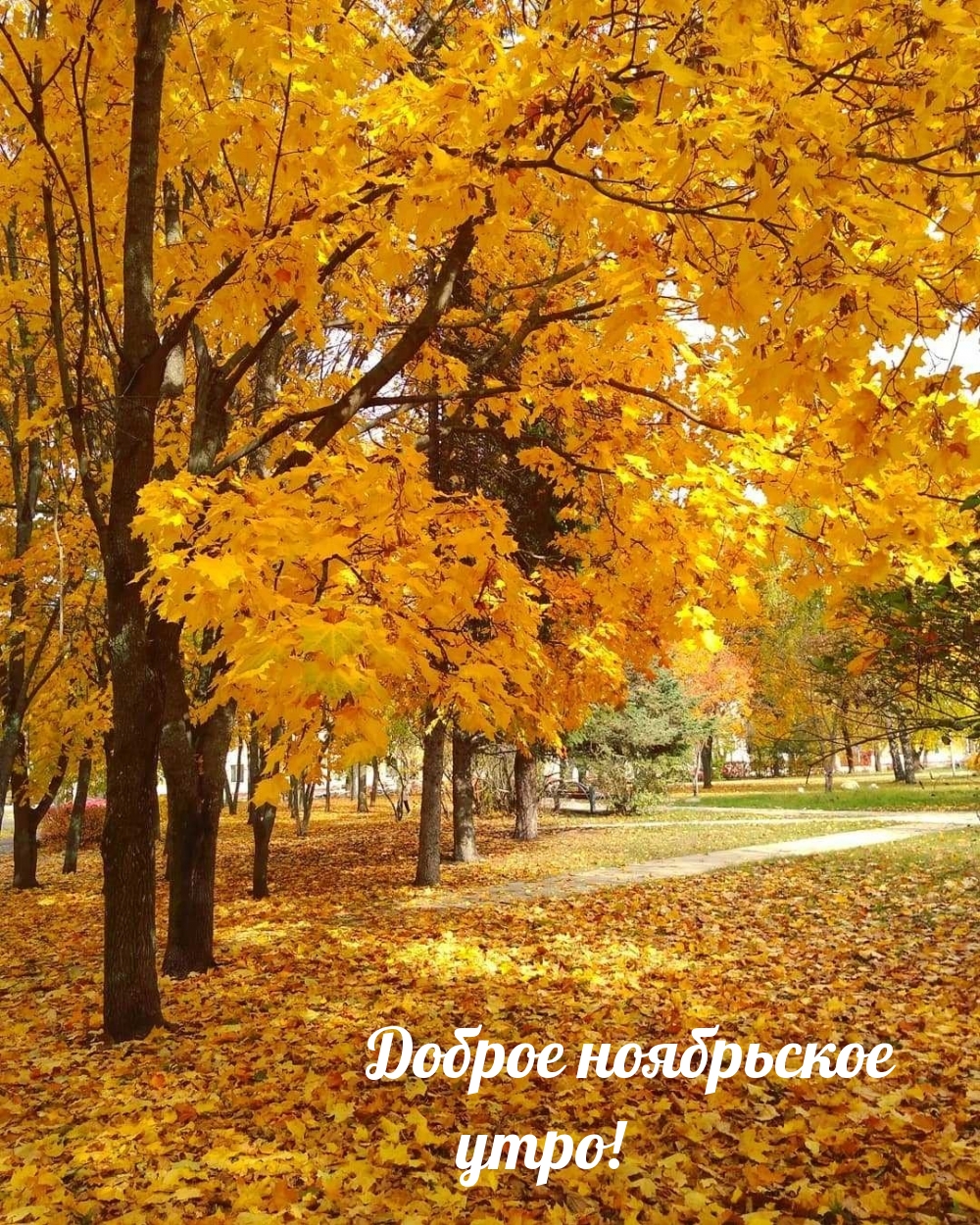 ������ ���������� ����!.