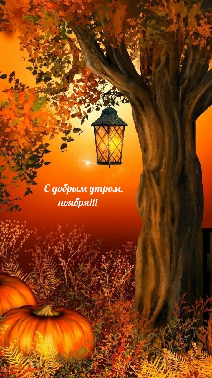 � ������ �����, ������!.