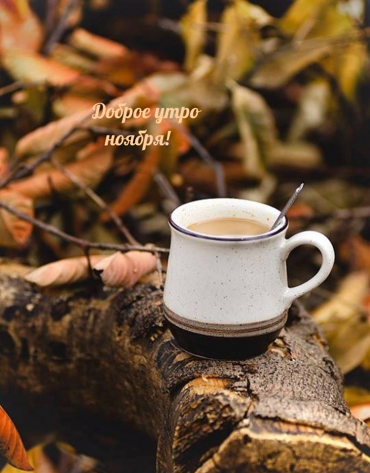 ������ ���� ������!.