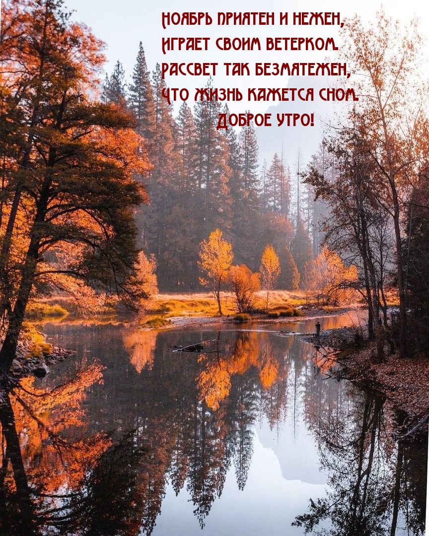 ������ ������� � �����, ������ ����� ��������..