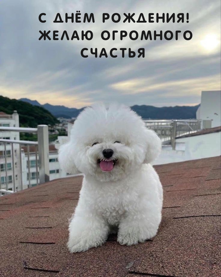 С днём рождения! Желаю огромного счастья