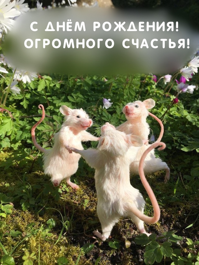 � ���� ��������! ��������� �������!