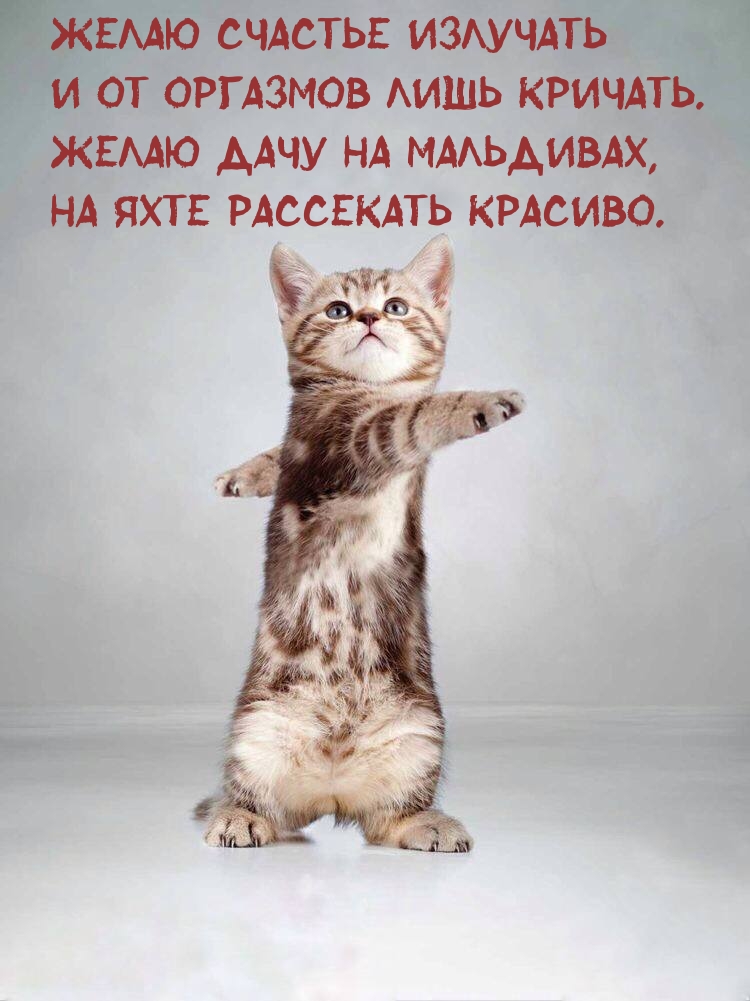 ����� ������� �������� � �� �������� ���� �������.