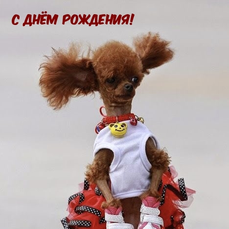   !.