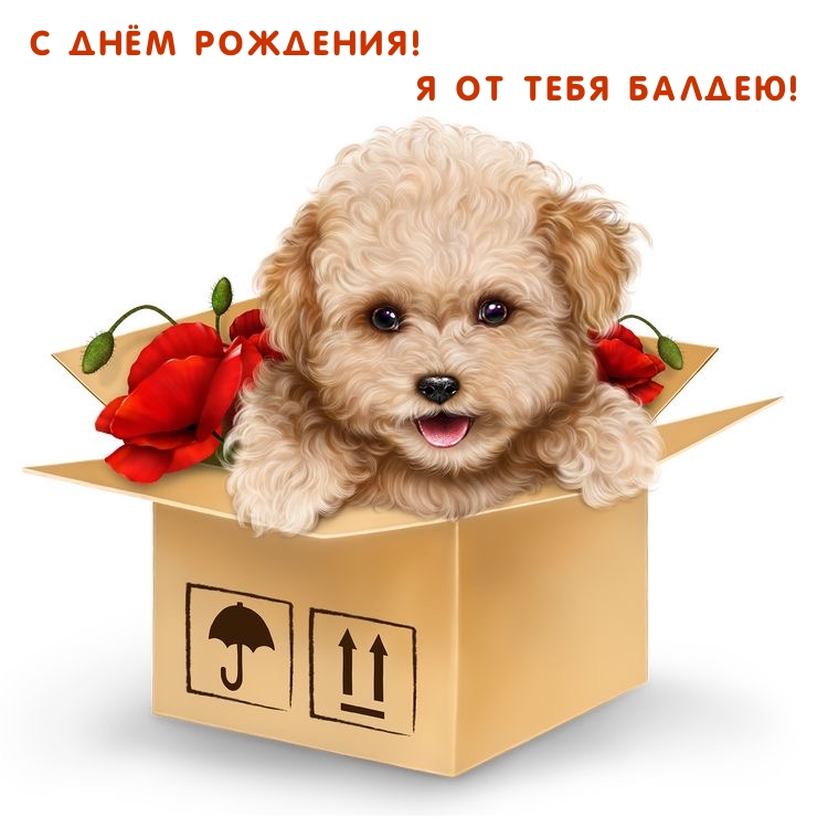 � ���� ��������! � �� ���� ������!