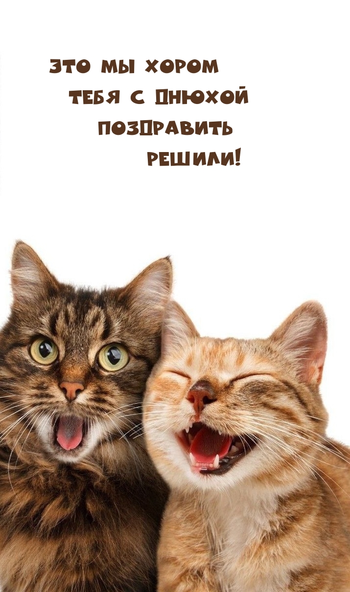        !.