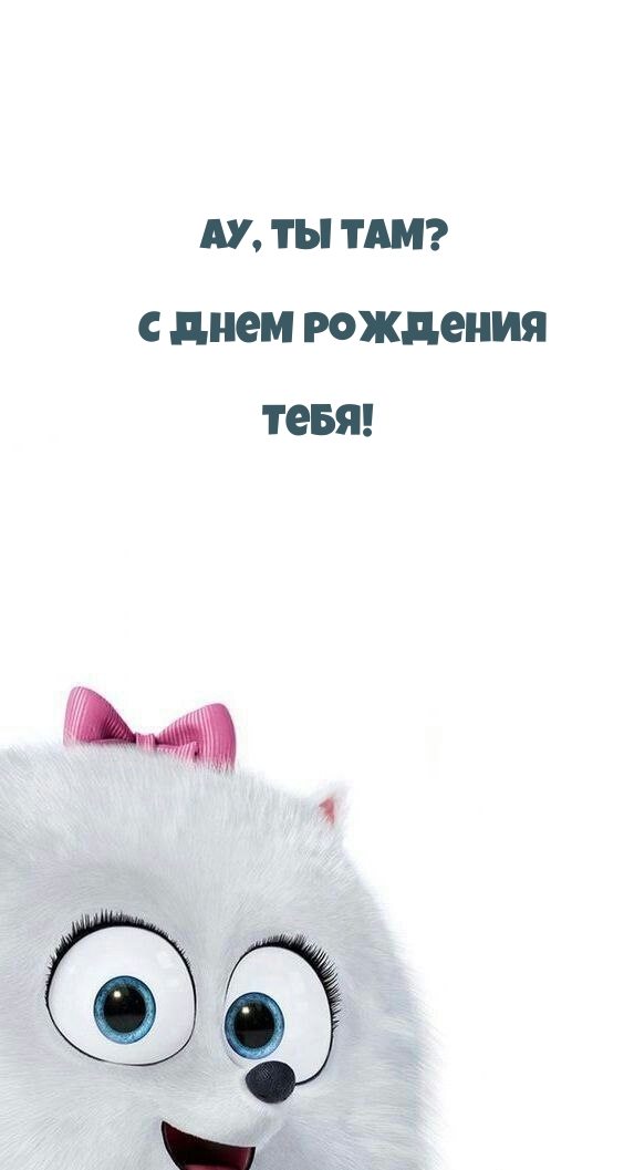 Ау, ты там? С днем рождения Тебя!