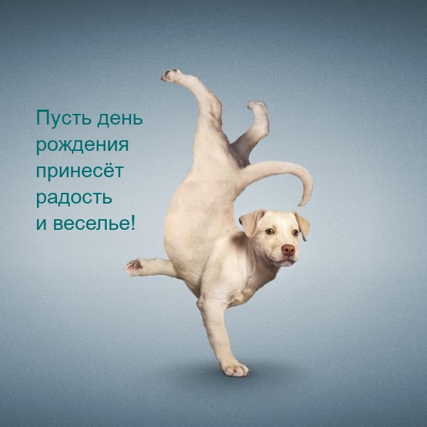 ����� ���� �������� ������� ������� � �������!