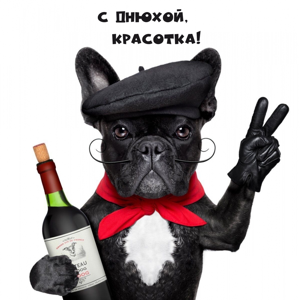  , !.